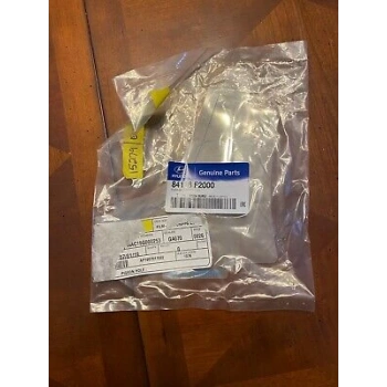 Koruyucu Film Arka Kapı Sol Elantra 16-18 Sol (Oem No: 84116-F2000)