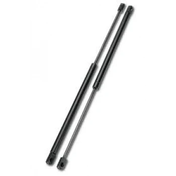 2001-2005 Citroen C5 Bagaj Amortisörü (55.5) Sağ-Sol Aynı Adet (Adet) (Oem No:8731F6)