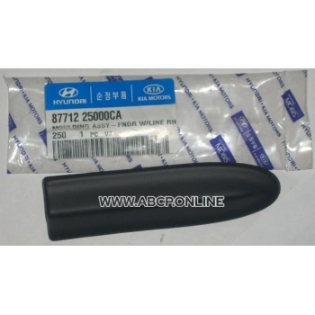 2000-2002 Hyundai Accent Milenyum Ön Çamurluk Bandı Sağ (Bfn) (Adet) (Oem No:8771225000Ca)