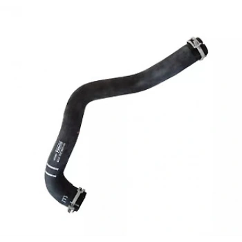 Radyatör Hortumu Üst Ford Fıesta 1.4 Zetec-S 08- (Oem No: 8V21 8B274 Bb)