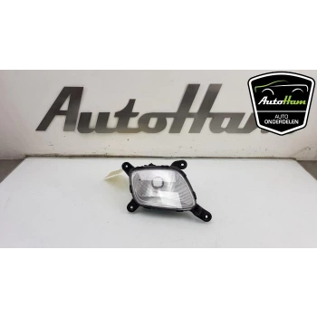 Gündüz Farı Sol Beyaz - P21W Kore Pıcanto Benzın-Dızel 2011- (Oem No: 922071Y500)