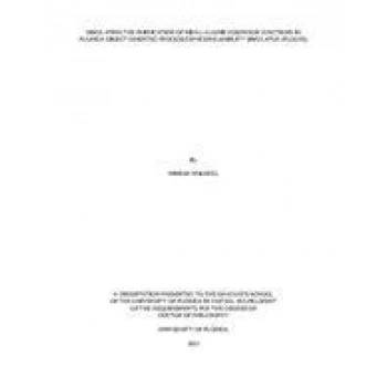 Müşür Debriyaj Pedal Accent Erai20İ30H-1Elantr None (Oem No: 93840-2E010)