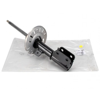 Amortısör Ön Sol Psa C4 Iı / Ds4 B.M 2009-2016 (Oem No: 9825409480)