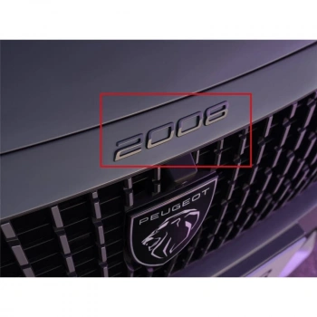 2008Yazı Psa (Oem No: 98502404Dx)