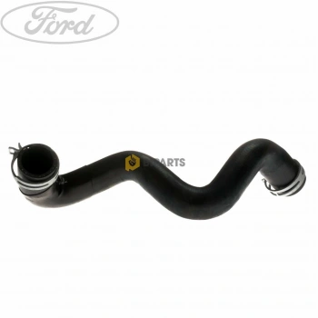 Radyatör Hortumu Alt Ford Focus 1.6 Benz 11- (Oem No: Bv61 8286 Bb)