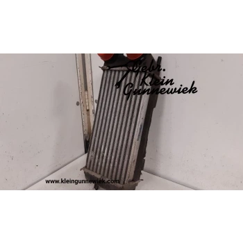 Turbo Radyatörü (Intercooler) Fıesta Vı 08-12 / B Max 12Sonrası / Courıer 14Sonrası / 1.5 Tdcı-1.6 Tdcı Brazıng (Oem No: Ft766K775Ba)