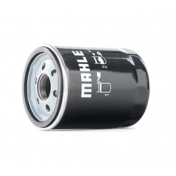 YAG FİLTRESİ FWD FORD TRANSIT V-362 2.0 PANTHER 17- (Oem No: GK2Q 6714 AA)