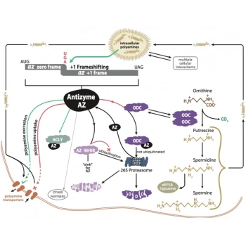 Panjur Hılux Ln145 98-01 Gri None (Oem No: Ty206-46A-Sb)