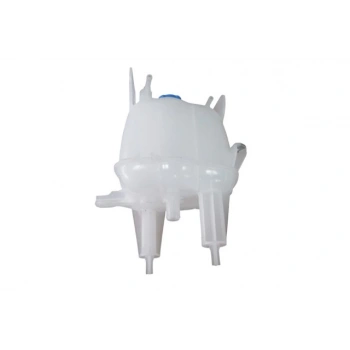 Fiat Ducato- 2014-2024   Radyatör Yedek Su Deposu (Kapaklı) (2.3) (Oem No:1358583080)