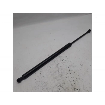 Renault Renault Modüs 2 2011- Bagaj Amortisörü  (Oem No:8200665709)