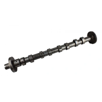 Renault Megan Iıı-Iv/Trafic Iıı/Vito/ Qashqa 1.6 Dcı 2011- Eksantrik Mili Emme  (Oem No:130011597R)