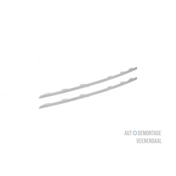 Renault Clio V 2019- Ön Panjur Krom Çıtalı (Oem No:960109845R)