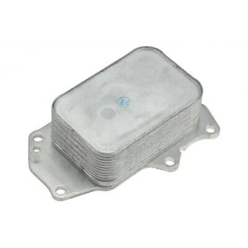 Ford Focus 1.5 Ecoblue 2018- Yağ Soğutucu Radyatörü  (Oem No:Jx6Q6A642Aa)