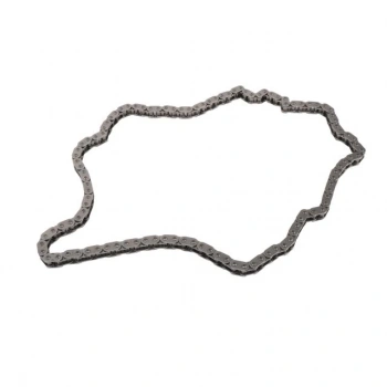 Opel İnsignia B B20Dvh 1 Serisidvh 2018- Eksantrik Zincirı  (Oem No:55490219)