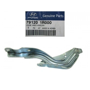 Kaput Menteşesi Blue Sağ Ön (Oem No:791201R000)