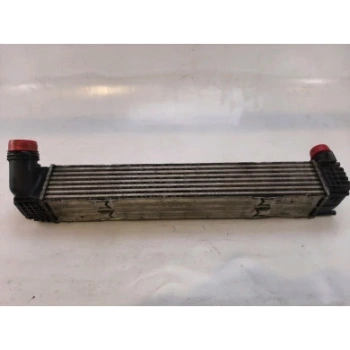 Renault Megane Iıı / Scenic Iıı 2.0 Dci 2007- Turbo Radyatörü Intercol (Oem No:144969107R)