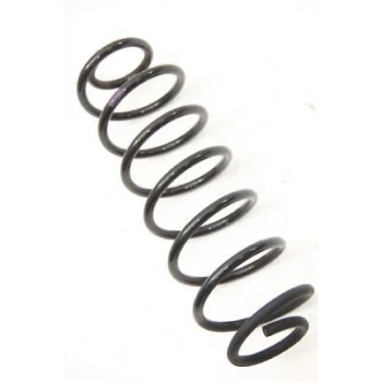 Ford Fiesta  2002- Helezon Yayı Arka  (Oem No:2S615560Ae)