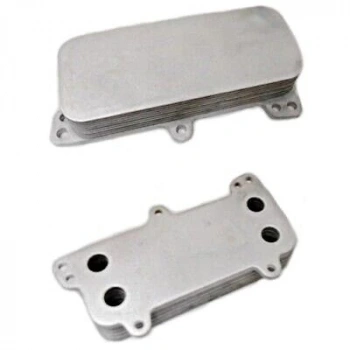 Vw T5-Touareg Axd-Axe-Bac 2,5 Tdı 2004-2010 Yağ Soğutucusu 8Mo376797031 (Oem No:070117021D)