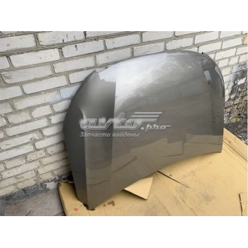 Motor Kaputu 301 2017 Sonrası Makyajlı Kasa (Oem No:9816972680)