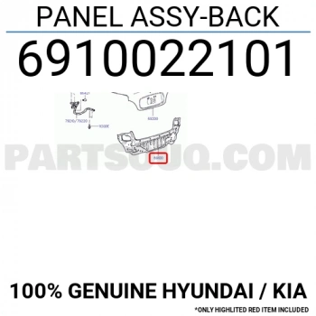 Panel Accent Arka  1995-00 (Oem No:6910022101)