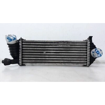Renault Kango Iıı   2008  Turbo Radyatörü  (Oem No:8200382109)