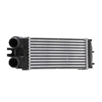 Citroen Xsara Pıcasso- 2001-2008  Turbo Hava Soğutma Radyatörü 1.6 Hdı (İnterc.)Brazing)300X147X85)Oris (Oem No:0384G5)