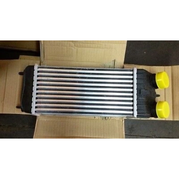 Citroen  C3  2010-2016  Turbo Hava Soğutma Radyatörü 1.6 Hdı (İntercooler) (Brazing) (300X157X80)Oris (Oem No:0384J4)