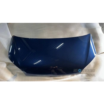 Skoda Citigo- 2012-2014  Motor Kaputu (Tw) (Oem No:1St823031C)