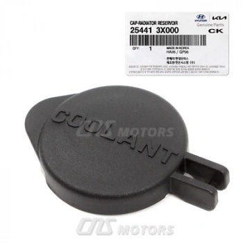 Hyundai Accent Blue 2011-2019 yedek su depo kapağı Oem No (254401R000)