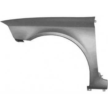 Laguna Iı 2005- 2007 Ön Çamurluk Sol Oem No (7701475993)