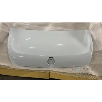 Master Iıı 2009- Motor Kaputu Oem No (651001399R)