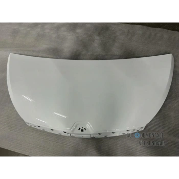 Traffıc 2014- Motor Kaputu Oem No (651009669R)