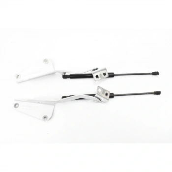 Kangoo Kaput Menteşesi Sağ 2007- Oem No (654005382R)