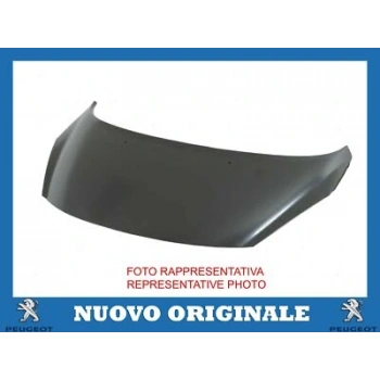 Peugeot 307 2005- Motor Kaputu Oem No (7901L9)