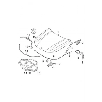 Bmw 5 Serisi G30 G31 G38 6G32 Gt  7G11 G12 2017  Kaput Menteşesi Sol   (Oem No:Bmw41007427051)