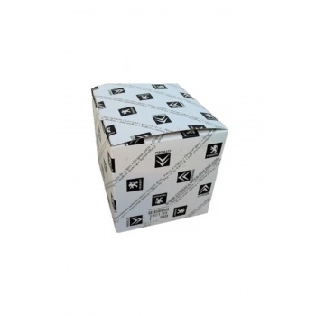 3008 Bagaj Alt Ç?Ta P.Ç. Psa Peugeot 97-00 (Oem No: 960316.12)