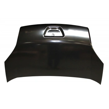 Peugeot Bıpper Motor Kaputu 2007  (Oem No:  7901Q0)