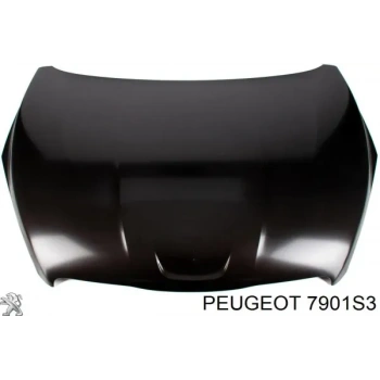 Peugeot 508 Motor Kaputu 2010- (Oem No:  7901S3)