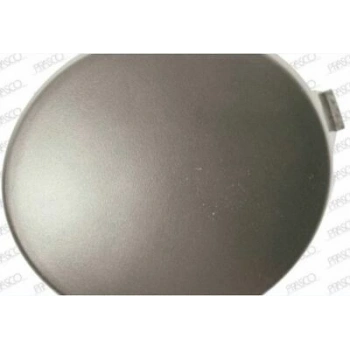 Renault Clio Symbol Ön Sis Lamba Kapağı Delikli  Sağ 2006-2008 (Oem No:  7702295498)