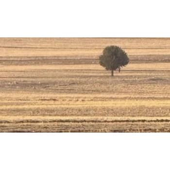 Opel Astra Arka Tampon Bandı Station Wagon Sağ 2004- 2007 (Oem No:  1404196)