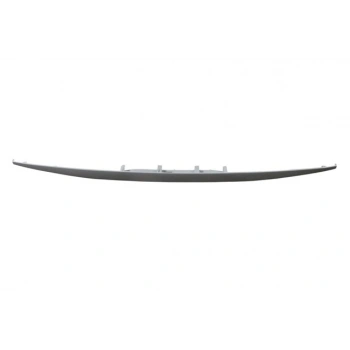 Mg Hs - 2024-2025 Arka Plaka Lamba Çıtası Astarlı (Tw) (Oem No: 10913299)
