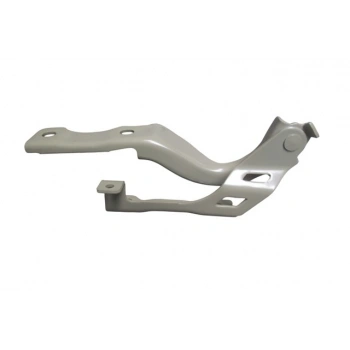 Mg Zs - 2021-2024 Kaput Menteşesi Sol (Tw)