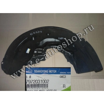 Çamurluk Davlumbazı Actyon Sport 2008-2011 / As8 On Sağ (Oem No: 7972031001)