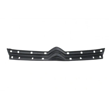 citroen jumpy- 2017-2024  ön panjur sıyah nıkelaj çıtasız (tw))