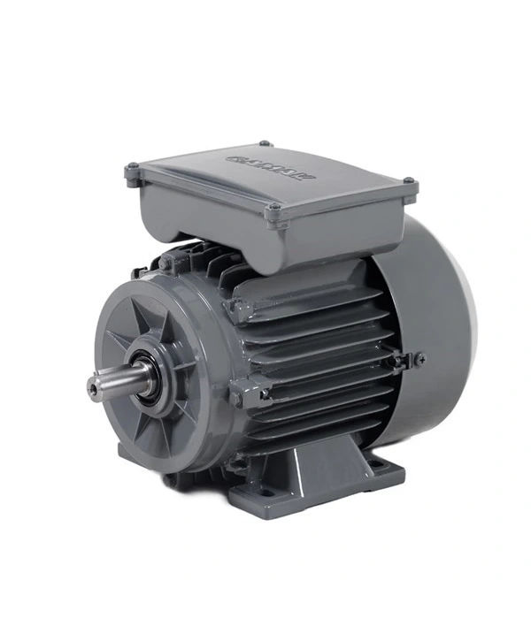 Gamak MS22D 1.5KW 1500d/d 220V Kalkış + Daimi Kondansatörlü Elektrik Motoru