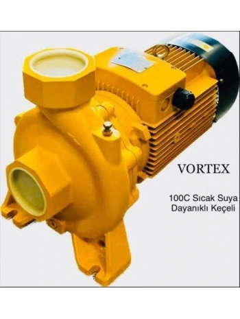 Vortex VSP 420 4HP 2 Çıkışlı Yatay Monoblok Sıcak Su Pompası