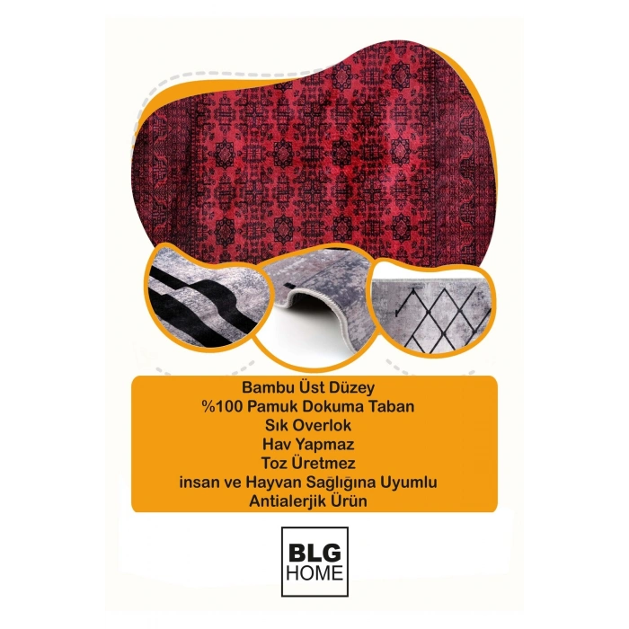 Kazayağı Detay Baklava Desen Dekoratif Kilim Modern Halı