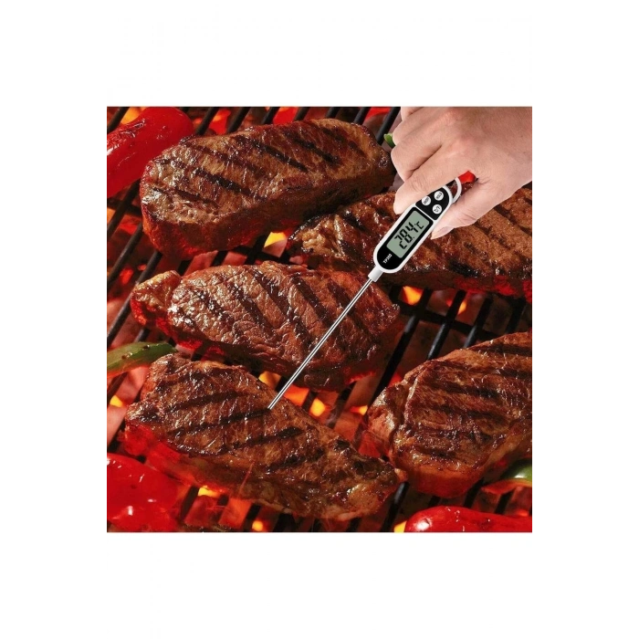 Çubuk Termometre Sıvı Gıda Et Su Yiyecek Sıcaklık Ölçer Mutfak Tp300