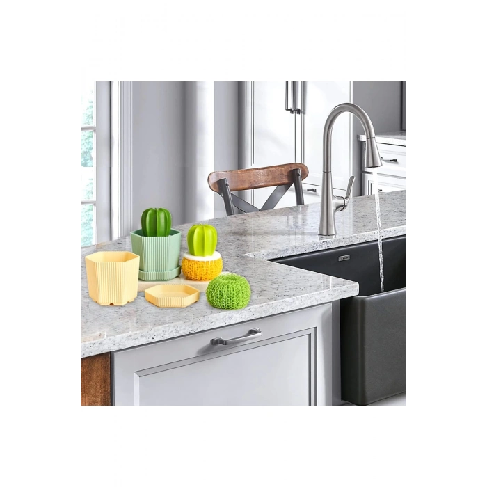 Kaktüs Fırça Dayanıklı Bulaşık Fırçalası