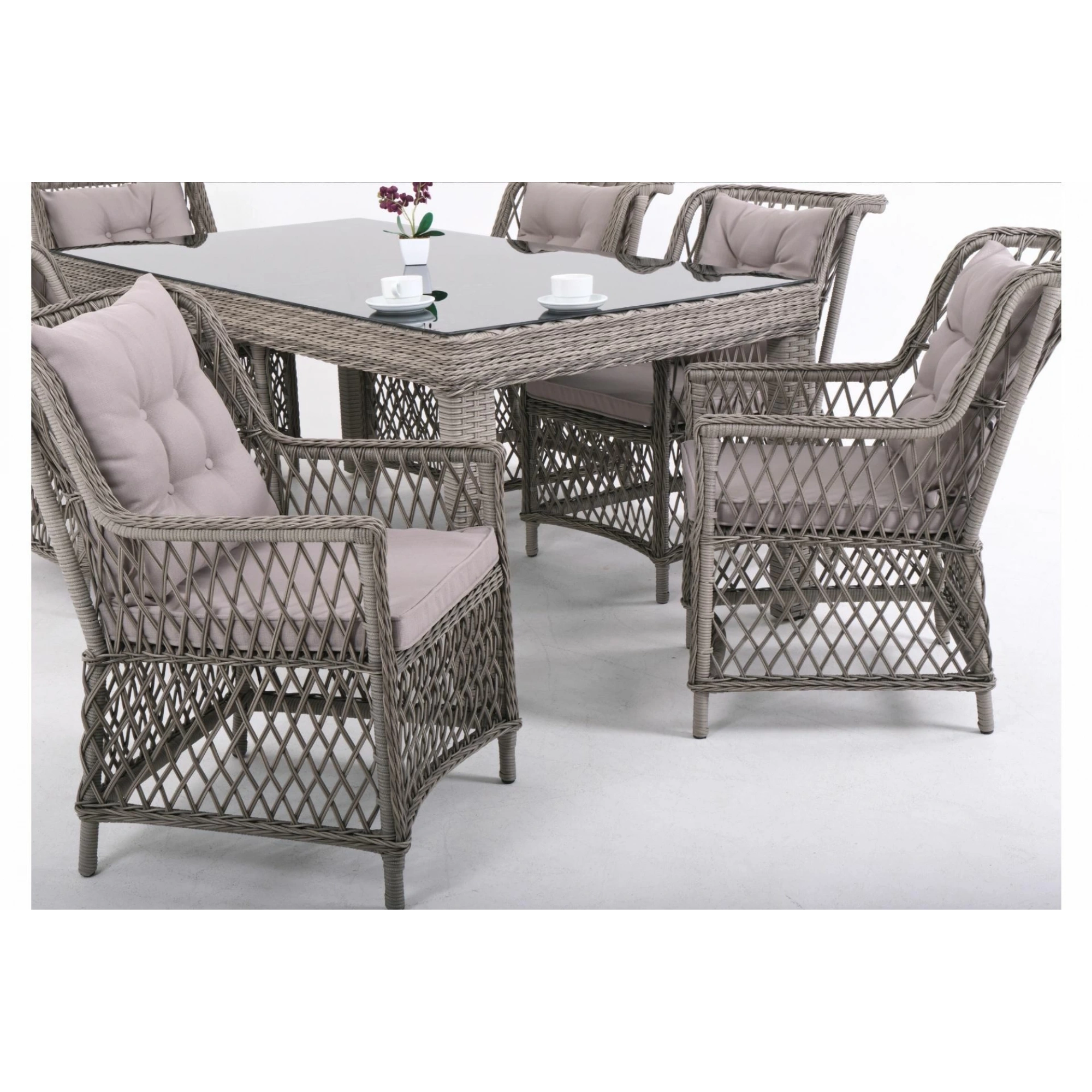 Roza Ritim 100x200 Mobilya Takımı